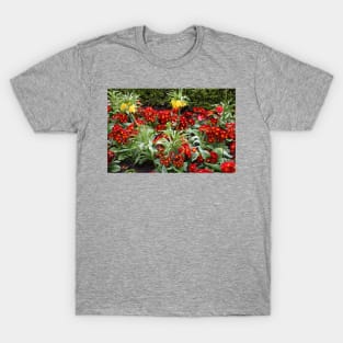 Mostly Primulas T-Shirt